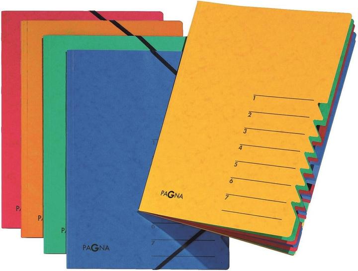 Immagine prodotto Pagna File EASY (A4, 1x)