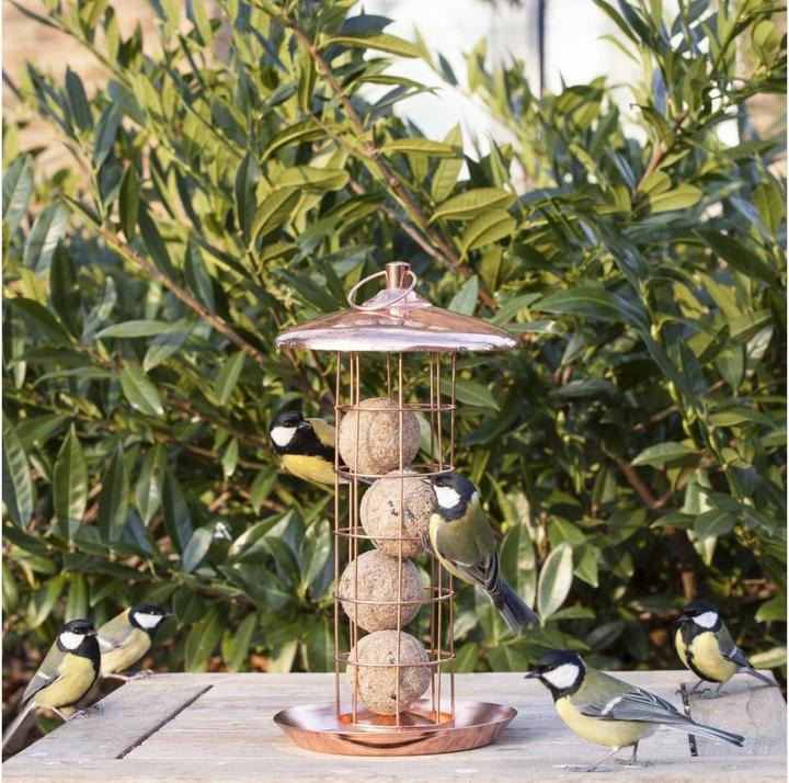 Actual product image Esschert Design Feed dispenser for titmouse dumplings