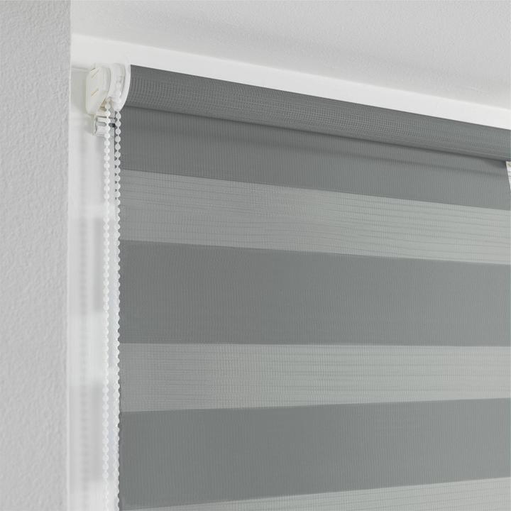 Actual product image Casativo Privacy blind day and night (60 x 90 cm)