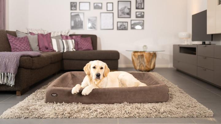 fettleder hundeleine Hundeleine Leder | Fettleder | verstellbar