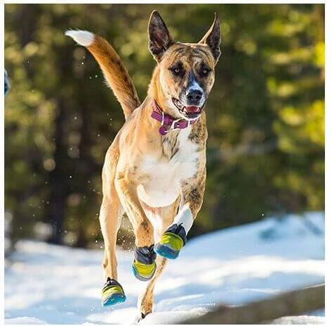 Produktbild Ruffwear Polar Trex - 1 Paar - Hundeschuhe (L, Hundeschuhe)