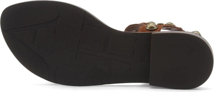 Actual product image Ash Phanny (39)