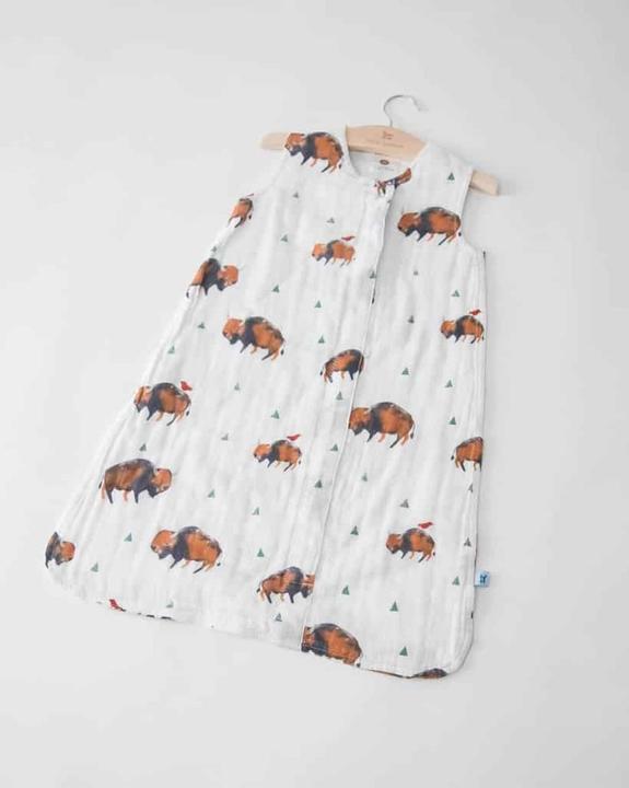 Bison