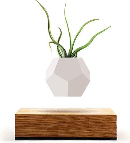 Actual product image Flyte LYFE Planter (154 cm)