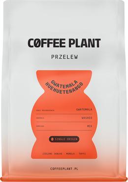 Immagine prodotto Coffee Plant Gwatemala Huehuetenango Filtro