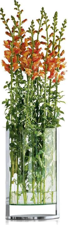 Actual product image Philippi Decade