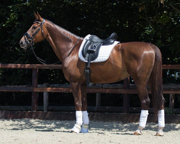 Produktbild Qhp Florence