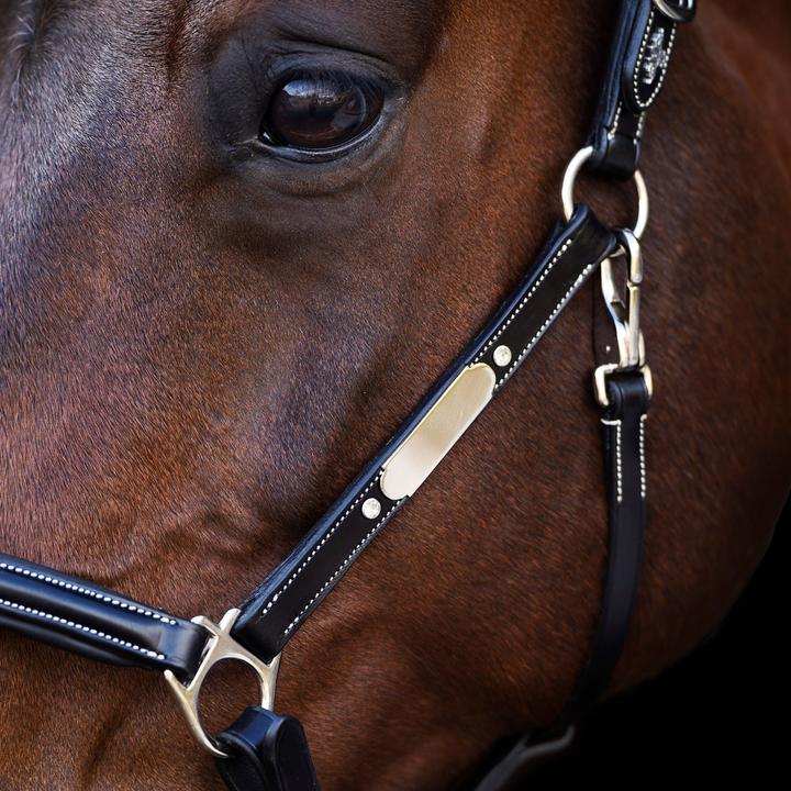 Immagine prodotto HV Polo Legacy