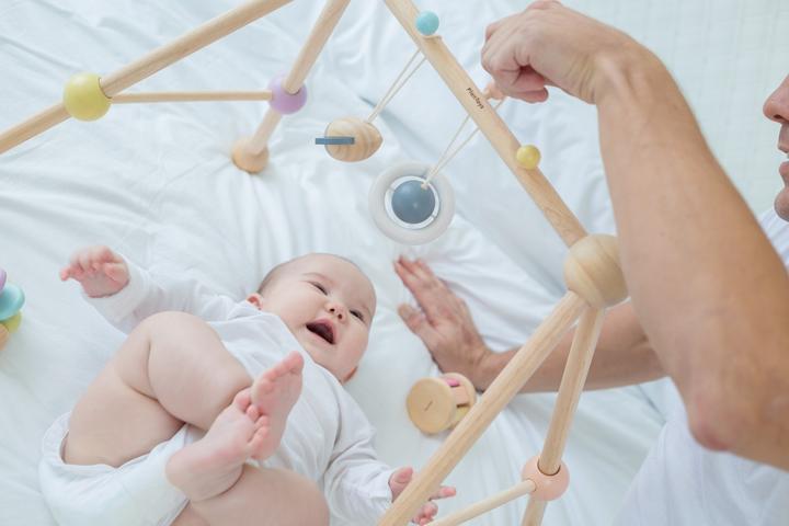 Immagine prodotto Plantoys Palestra per bambini