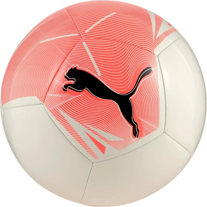 Image du produit Puma Big Cat ball