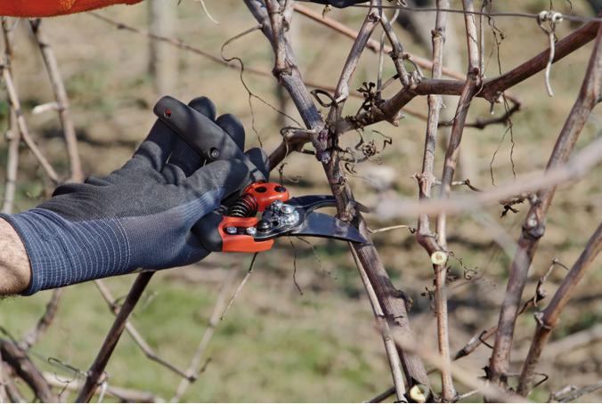 Actual product image Irimo ERGO™ Medium-sized 30 mm bypass pruning shears with roller handle with elastomer coating