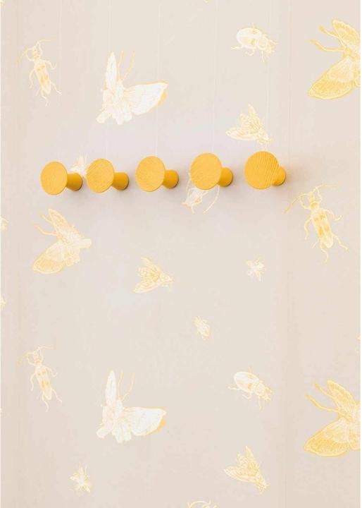 Actual product image Schönbuch Cone wall hooks