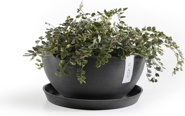 Produktbild Ecopots Saucer Round