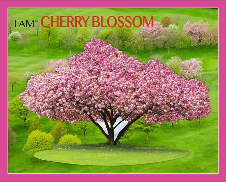 Productafbeelding Madd Capp I AM CHERRY BLOSSOM 1000 Puzzle (1000 onderdelen)