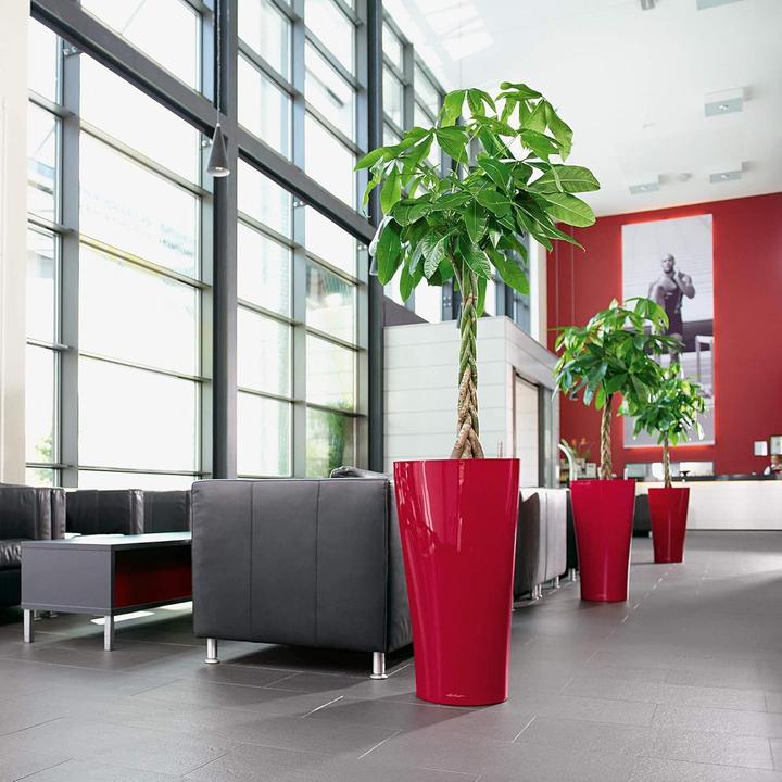 Produktbild Lechuza Delta (39 x 75.50 cm)