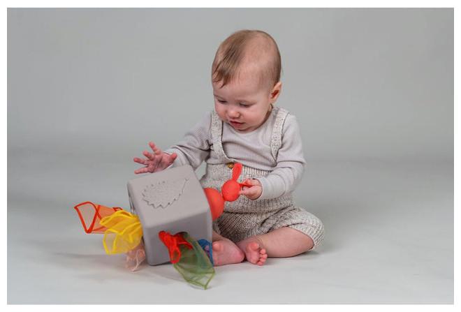 Actual product image Taf Toys Wipes box Pop Up