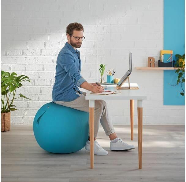 Actual product image Leitz Ergo Cosy Active sitting ball (65 cm)