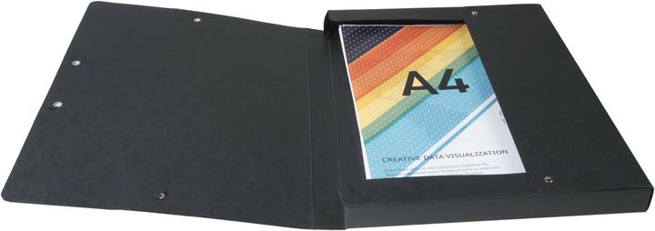 Actual product image Exacompta EXABOX - Archive boxes (A4, 1 x)