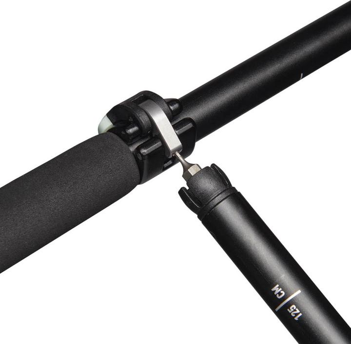 Image du produit Black Diamond Pursuit FLZ (140 cm)
