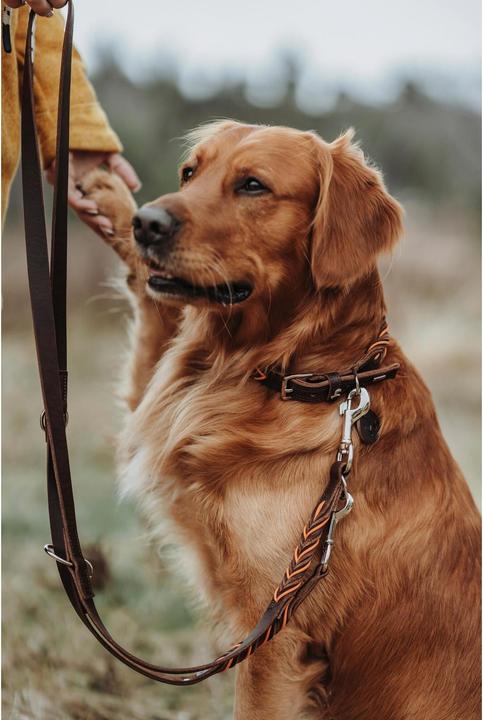Actual product image Hunter Training leash Solid Education Cord 20/200, dark brown/orange - (69325) (Dog, General)