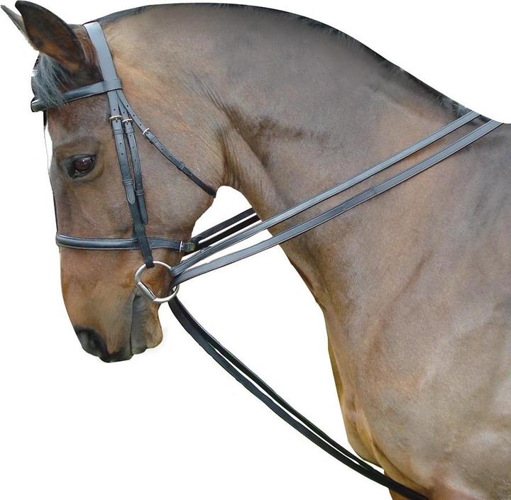 Immagine prodotto Kincade Redini di traino per cavallo in cuoio