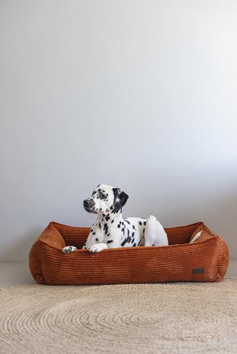 Actual product image Designed by Lotte Ribbed (Dog)