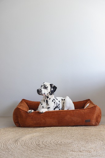 Productafbeelding Designed by Lotte Geribbeld (Hond)