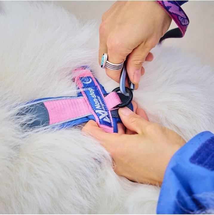 Produktbild Non-Stop Dogwear Non-Stop - Line Harness 5.0 - RP Purple/Pink - 4 (4, Hund, Allgemein, Hundesport, Spazieren)