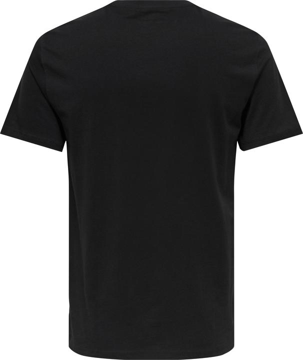 Actual product image Only & Sons Onsmax Life Reg Ss Stitch Tee Noos (XL)