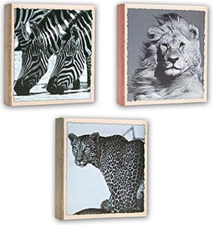 Immagine prodotto ZEP WL57100 Album Slip-in 100 foto 13x19 cm - 12 album