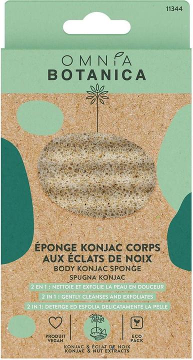 Actual product image Omnia Botanica - Konjac body sponge with nut extracts