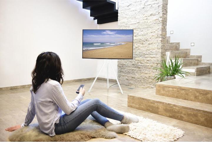 Actual product image Hama TV stand, free-standing easel, height-adjustable, 191 cm (75") up to 40 kg (75", 40 kg)