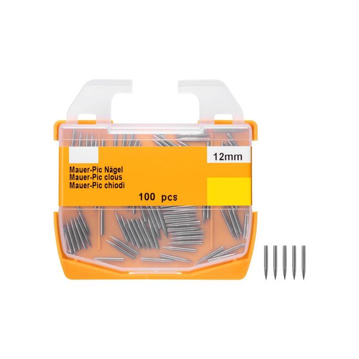 BestaPac Pic de mur Clous en acier (100 pièce(s), 12 mm)