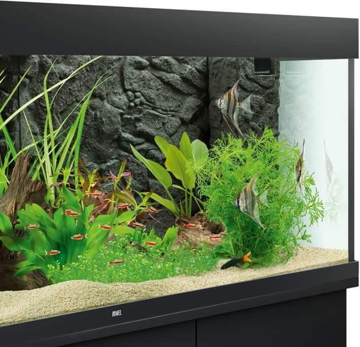 Produktbild Juwel Aquarium Stone Granite (Rückwand, sonstige Gegenstände)