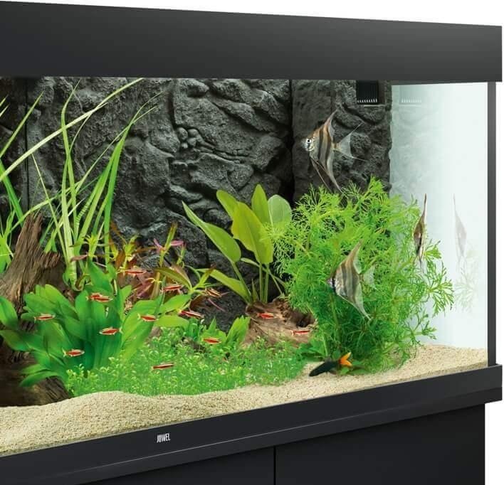Produktbild Juwel Aquarium Stone Granite (Rückwand, sonstige Gegenstände)