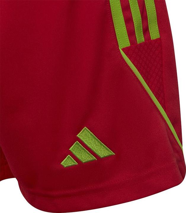 Actual product image adidas Tiro 23 training shorts kids (128)