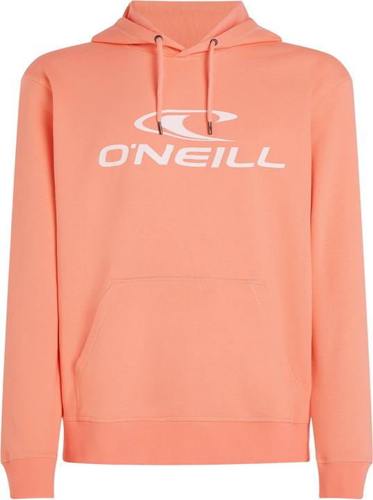 Actual product image O'Neill Logo Hoodie (S)