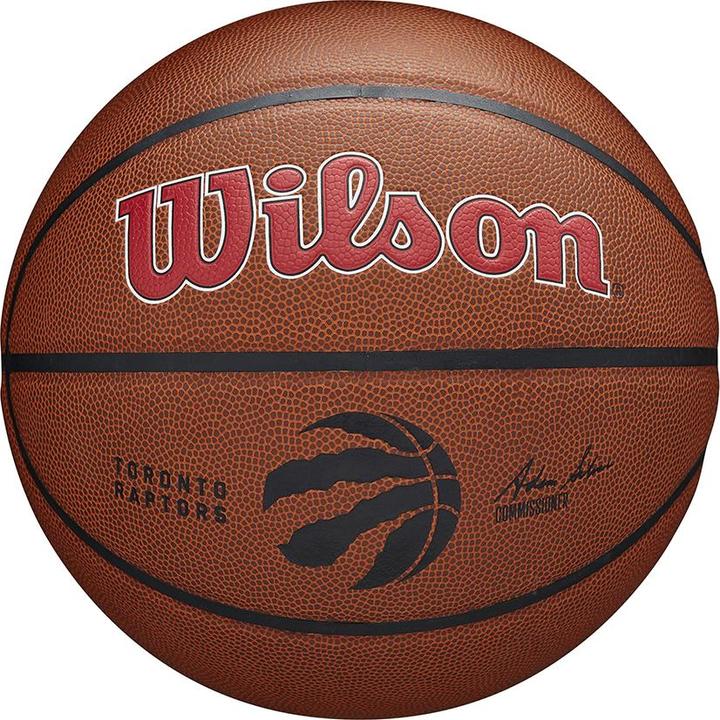 Produktbild Wilson Nba Team Alliance Basketball Tor Raptors (7)