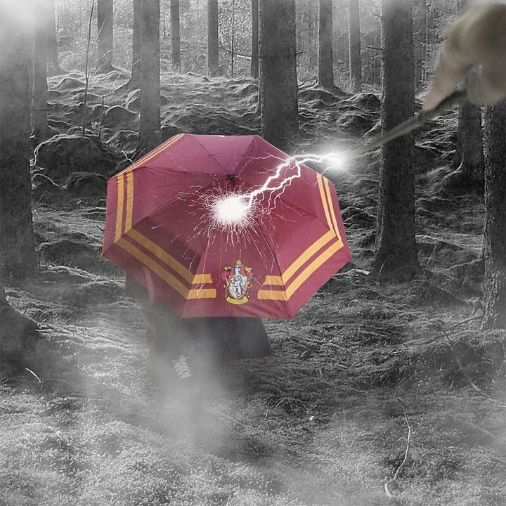 Produktbild Cinereplicas Gryffindor