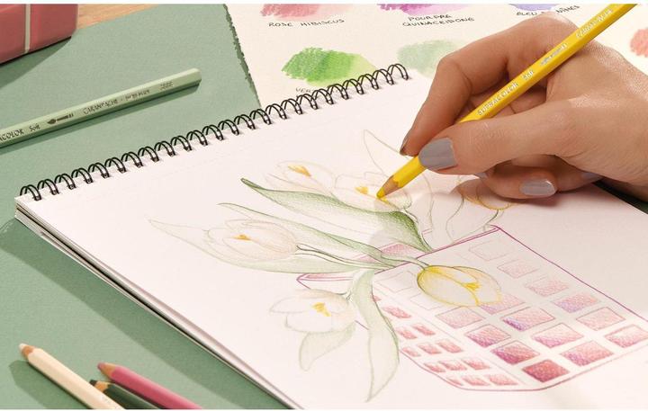 Actual product image Caran d'Ache Supracolor Aquarelle Metallschachtel Sonderedition (18x)