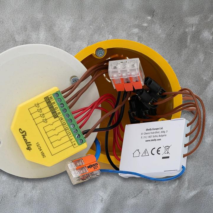 Actual product image Shelly 4-channel decoupler