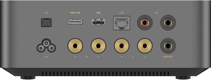 Actual product image Piega Bundle Ace 30 + WiiM Amp Ultra (Silber/Space Grey) (Set, 150 W)