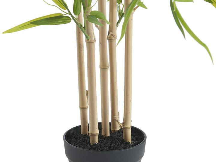Immagine prodotto Ozaia Bambouseraie (122 cm)