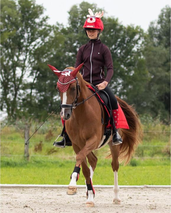 Produktbild Qhp überzug für reithelm elfe mädchen noël