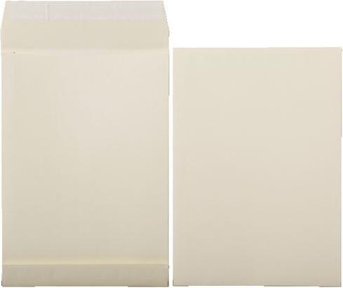 Actual product image Viking gusset mailers without window (125 x)