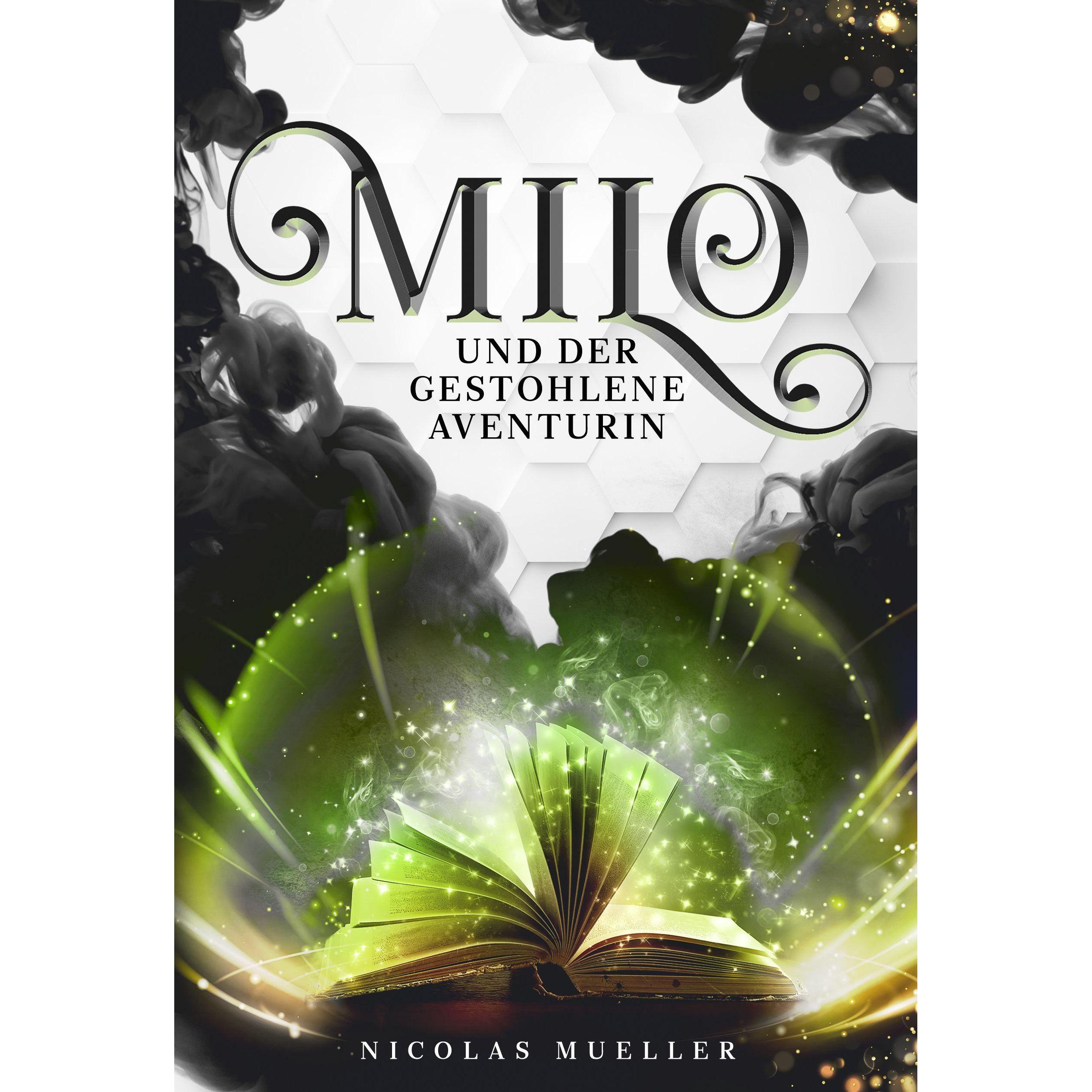 Milo und der gestohlene Aventurin, Kinderbücher von Nicolas Mueller