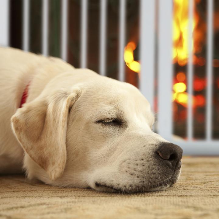 Produktbild Relaxdays Absperrgitter