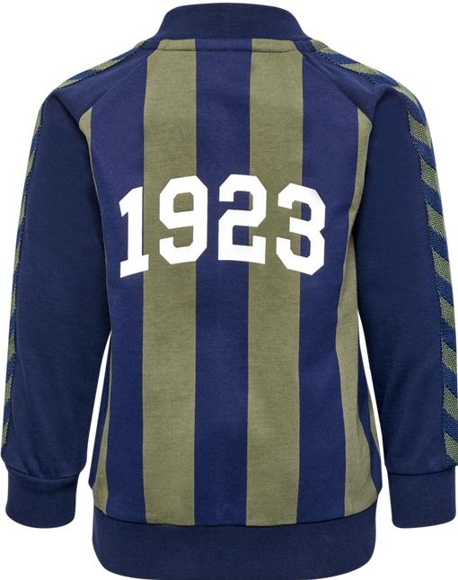Actual product image hummel hmlERHAN ZIP JACKET (92)