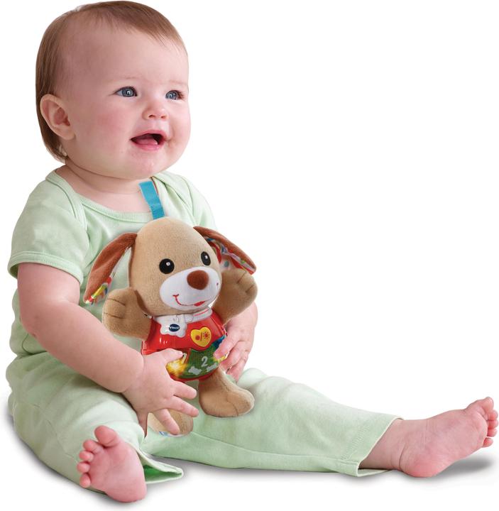 Actual product image VTech Melody dog