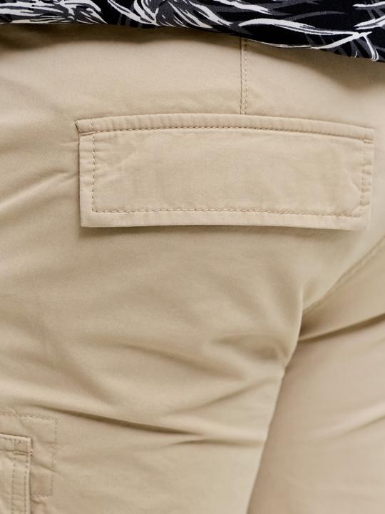Image du produit Jack & Jones Jpstcole Frank Cargo Short Mid Sn Pls (40)